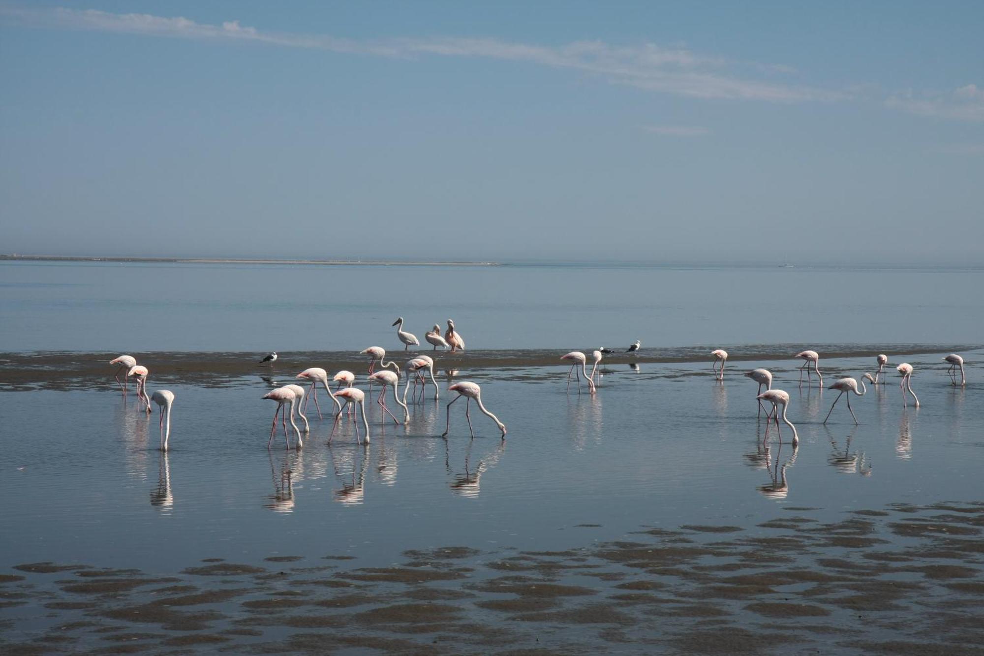 Lagoon Lodge ولفس بي المظهر الخارجي الصورة